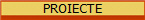PROIECTE