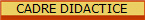 CADRE DIDACTICE